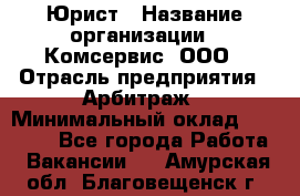 Юрист › Название организации ­ Комсервис, ООО › Отрасль предприятия ­ Арбитраж › Минимальный оклад ­ 25 000 - Все города Работа » Вакансии   . Амурская обл.,Благовещенск г.